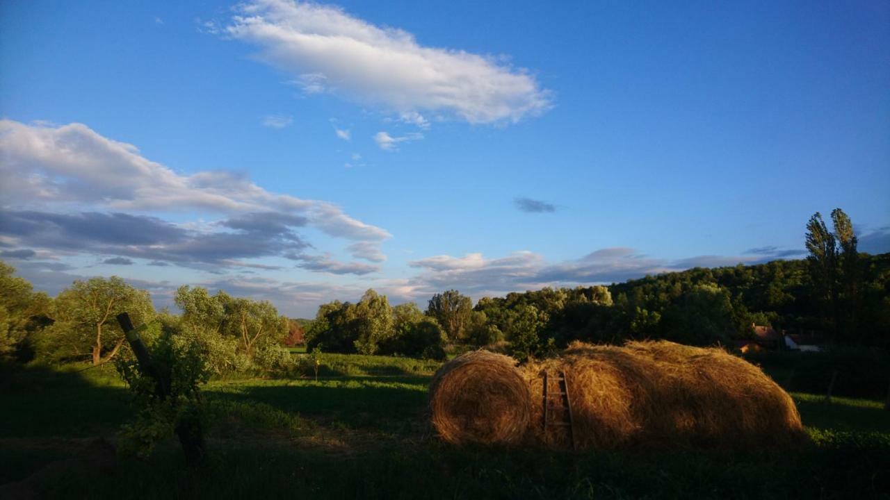 Balvanyos Szellos Ret Camping מראה חיצוני תמונה